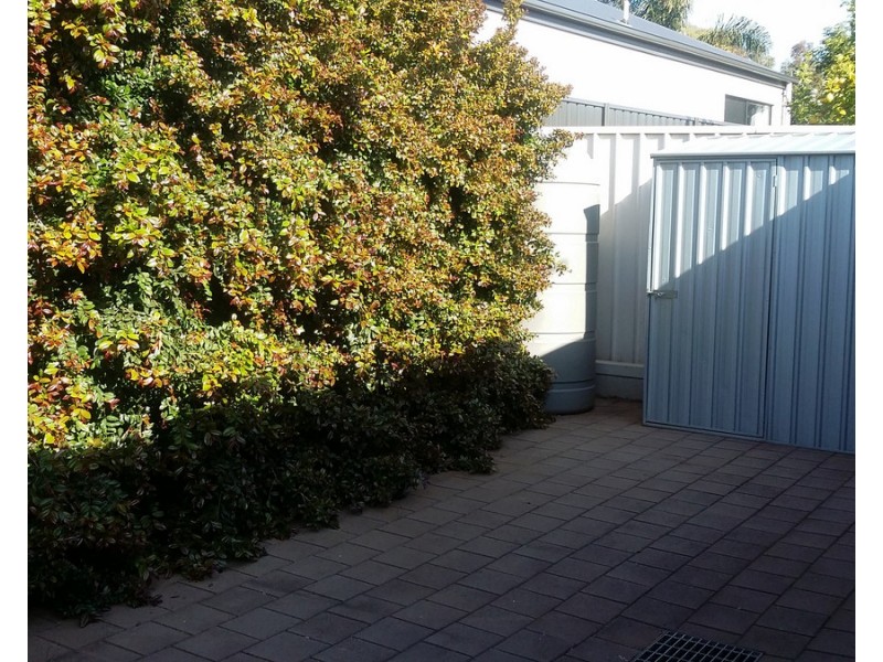 38 Bowman Street, Elizabeth Park SA 5113