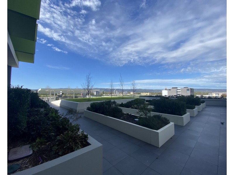 1601/29 Angas Street, Adelaide SA 5000