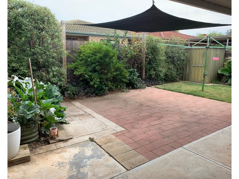 25 Malin Street, Semaphore Park SA 5019