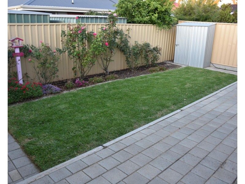 37 Clementine Avenue, Munno Para SA 5115