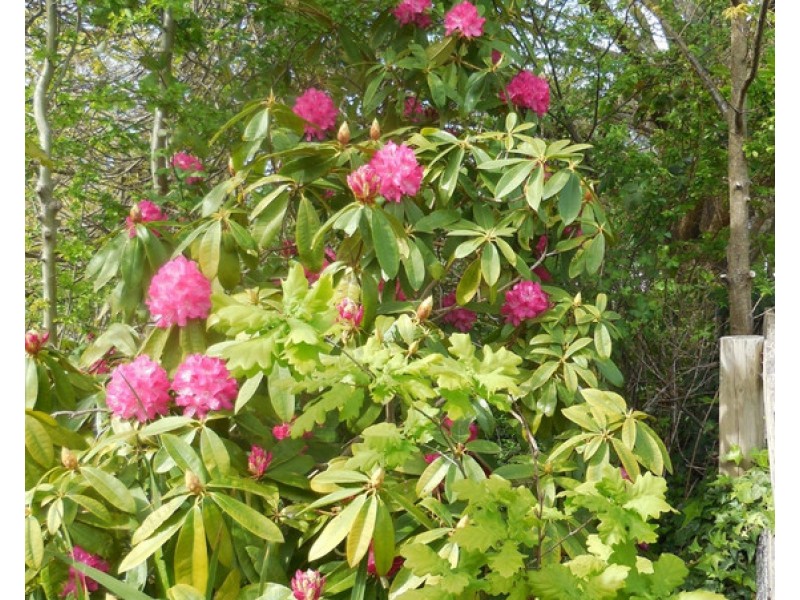 56-58 Stawell Street, Romsey VIC 3434