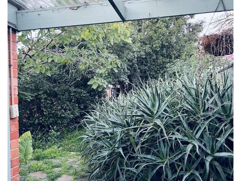 15 Woodhurst Avenue, Hyde Park SA 5061