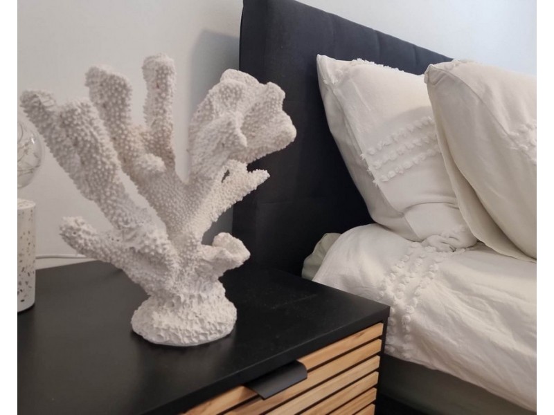 2/10 Monaco Street, Surfers Paradise QLD 4217