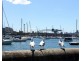10G/153 Bayswater Road, Rushcutters Bay NSW 2011