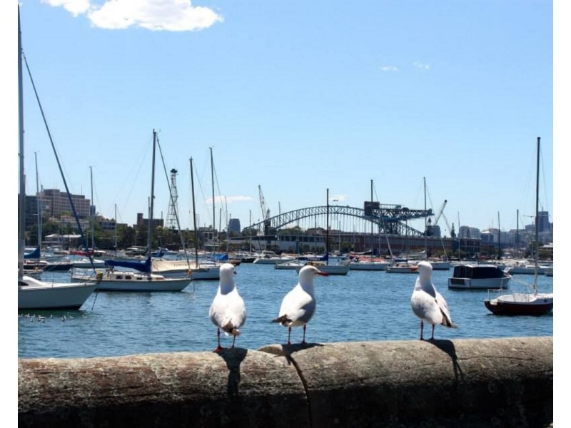 10G/153 Bayswater Road, Rushcutters Bay NSW 2011