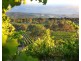 13 Shakeshaft Drive, Normanville SA 5204