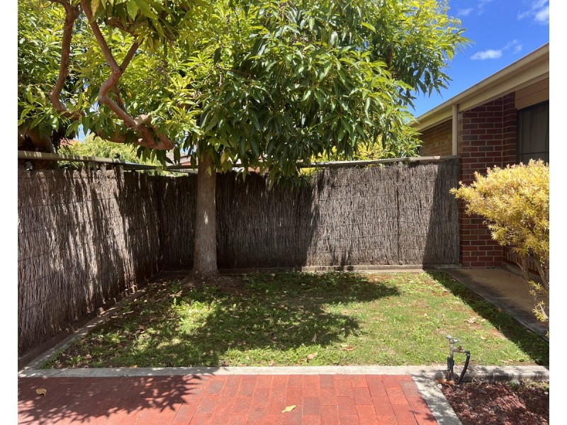 6/8 Chapel Street, Campbelltown SA 5074