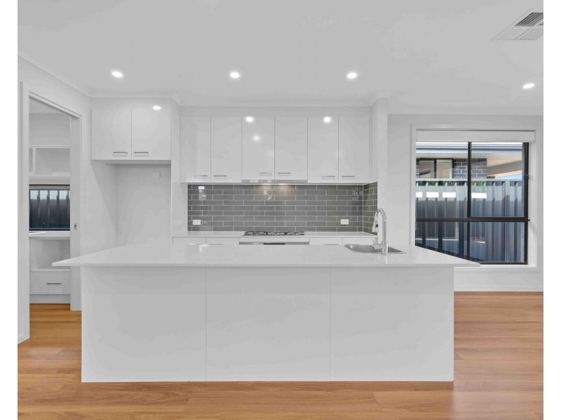 16 & 16A Winifred Avenue, South Plympton SA 5038