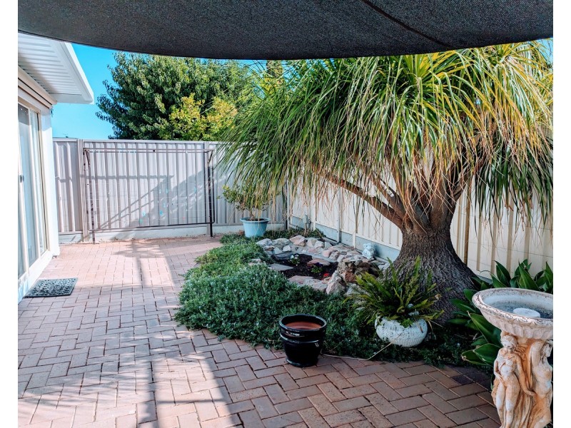 84A Palm Avenue, Royal Park SA 5014