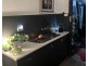 3/11 Hughes Street, Potts Point NSW 2011