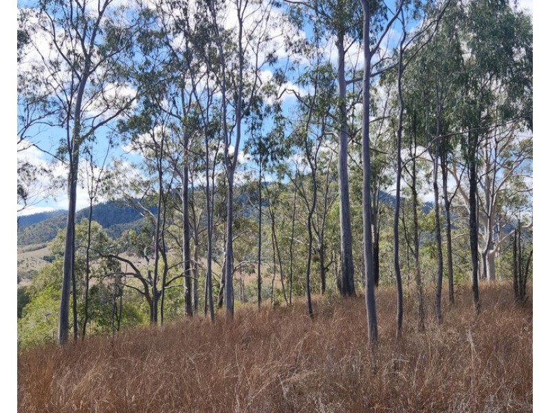 Kapunda Street, Mount Perry QLD 4671