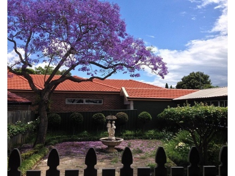 17 Ettrick Street, Ashbury NSW 2193