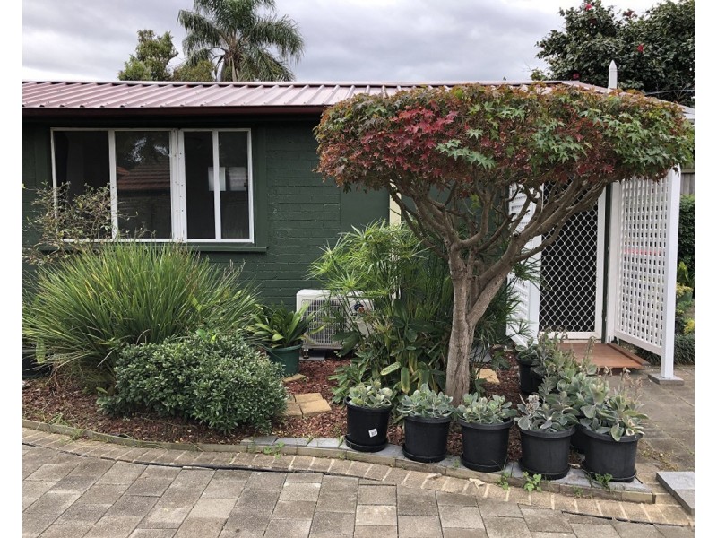 17 Ettrick Street, Ashbury NSW 2193
