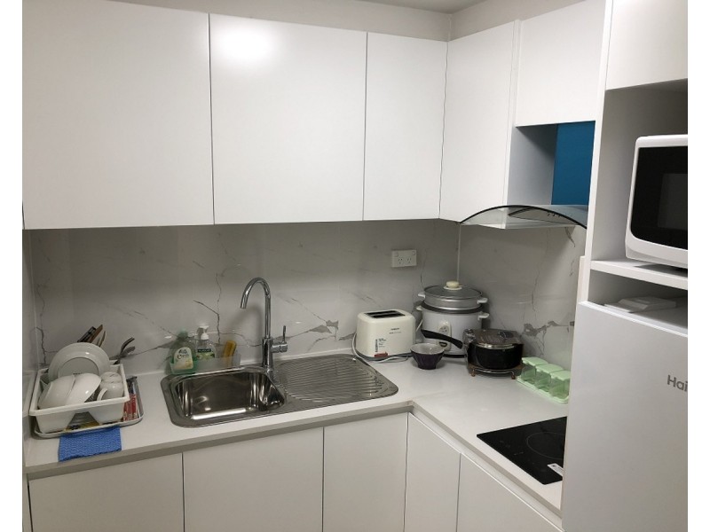 17 Ettrick Street, Ashbury NSW 2193