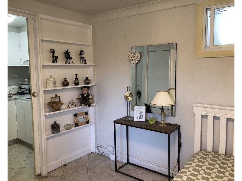 17 Ettrick Street, Ashbury NSW 2193