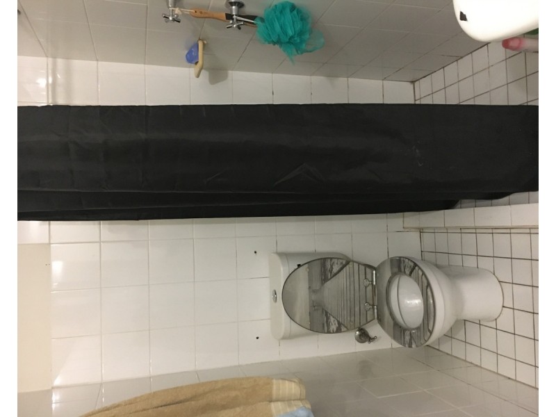 2/362 Moore Park Road, Paddington NSW 2021