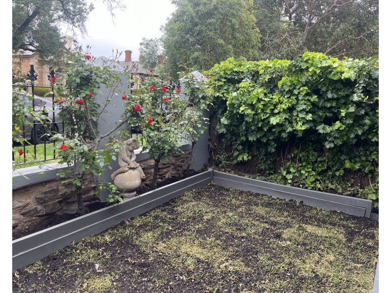 77 Palmerston Road, Unley SA 5061