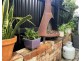 64 Abbotsford Street, West Melbourne VIC 3003