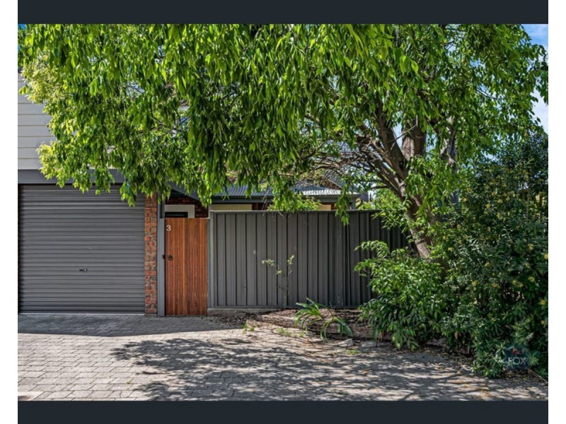 3/21 Clark Street, Wayville SA 5034