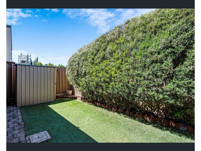 3/21 Clark Street, Wayville SA 5034