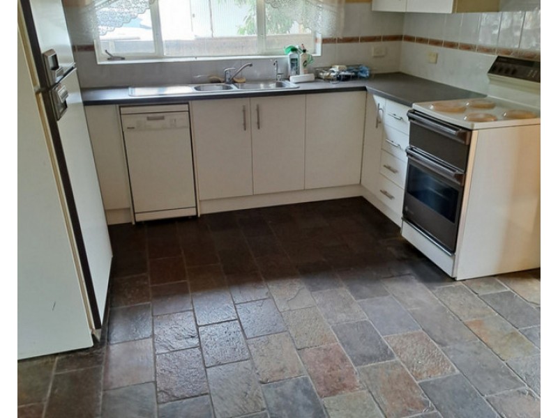 67 Morgan Avenue, Daw Park SA 5041