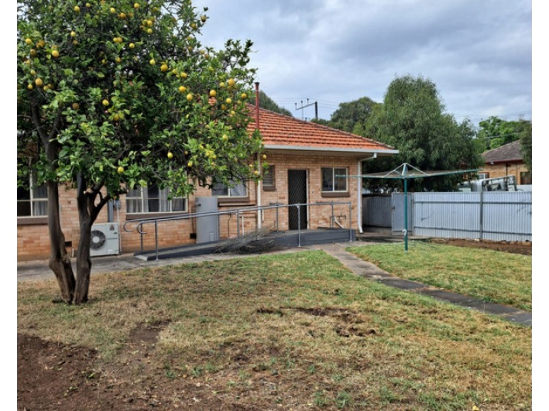 67 Morgan Avenue, Daw Park SA 5041