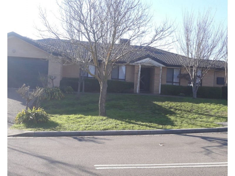 119 Katherine Avenue, Amaroo ACT 2914