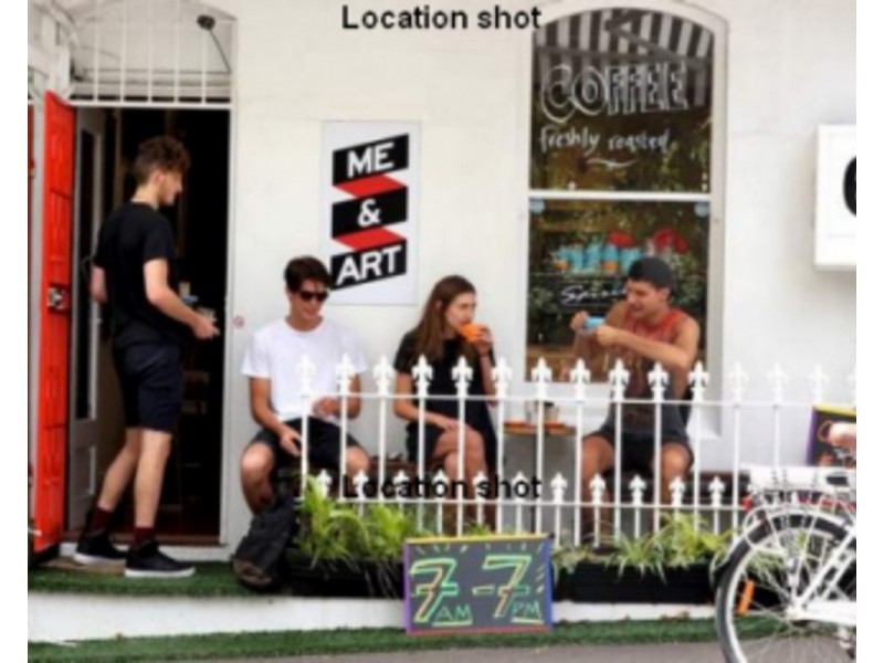 1/2 Bellevue Street, Surry Hills NSW 2010