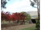 6252 Great Alpine Road, Eurobin VIC 3739