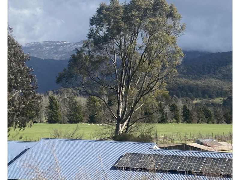 6252 Great Alpine Road, Eurobin VIC 3739