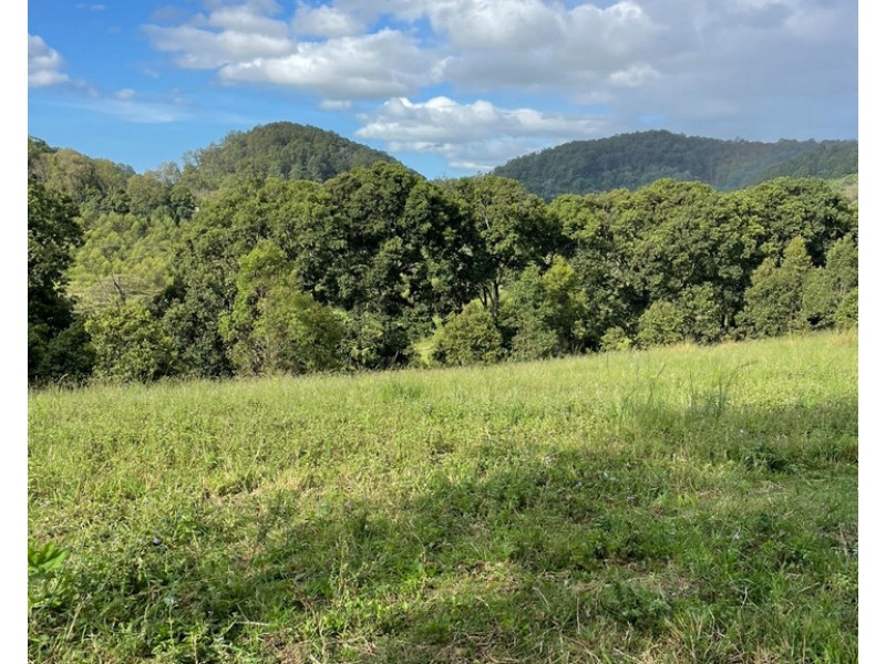 8 Thompson Road, Ross Creek QLD 4570