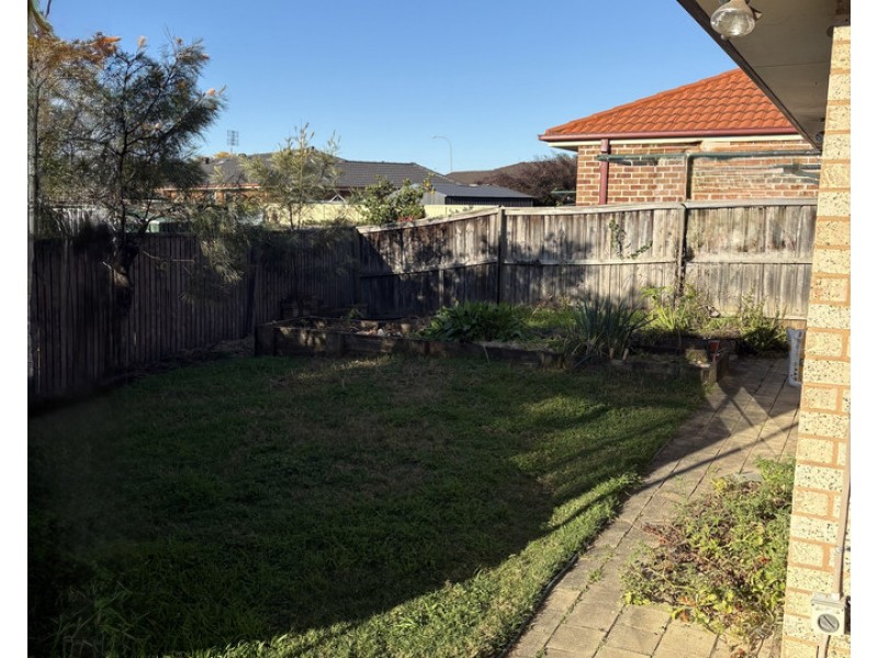 20 Tuart Circle, Narellan Vale NSW 2567