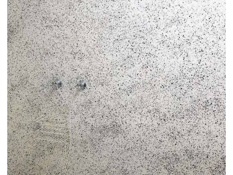 4/235 Vulture Street, South Brisbane QLD 4101