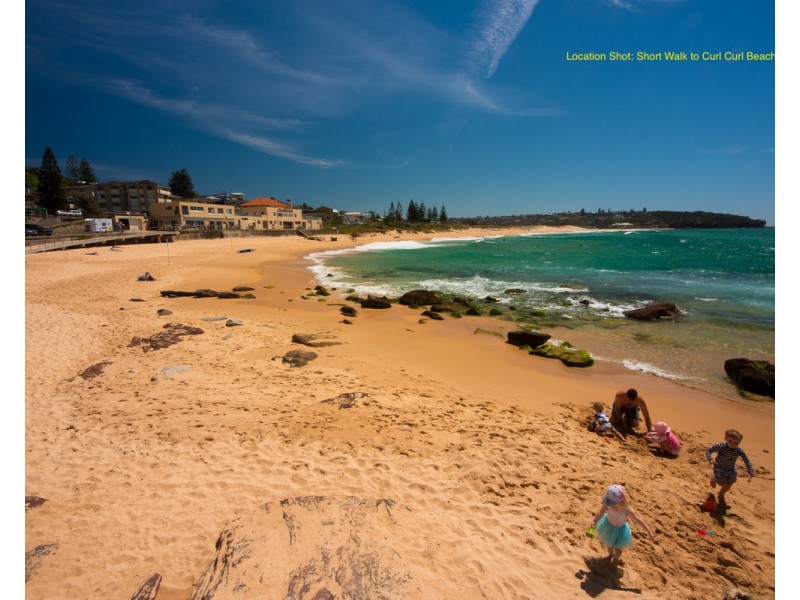 53 Curl Curl Parade, Curl Curl NSW 2096