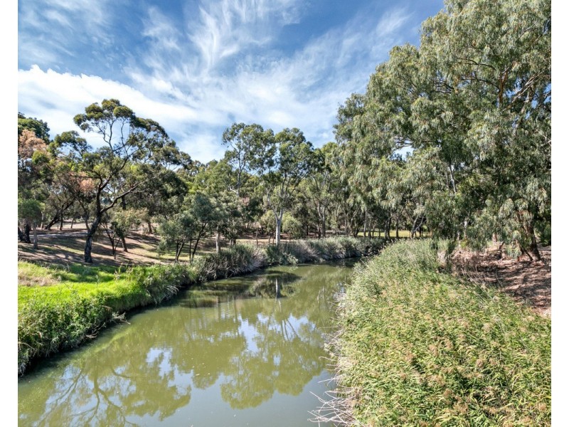 12 Barrow Crescent, Lockleys SA 5032