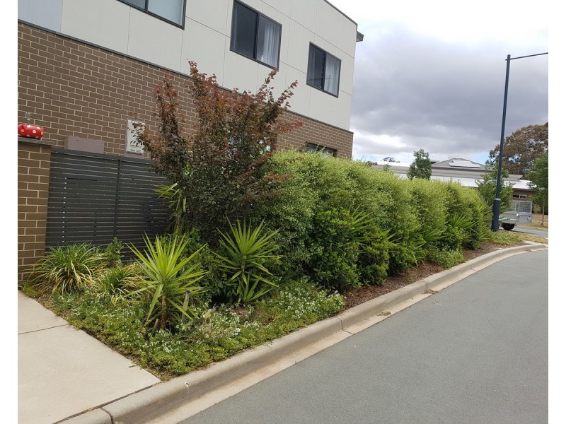 5 Proud Street, Forde ACT 2914