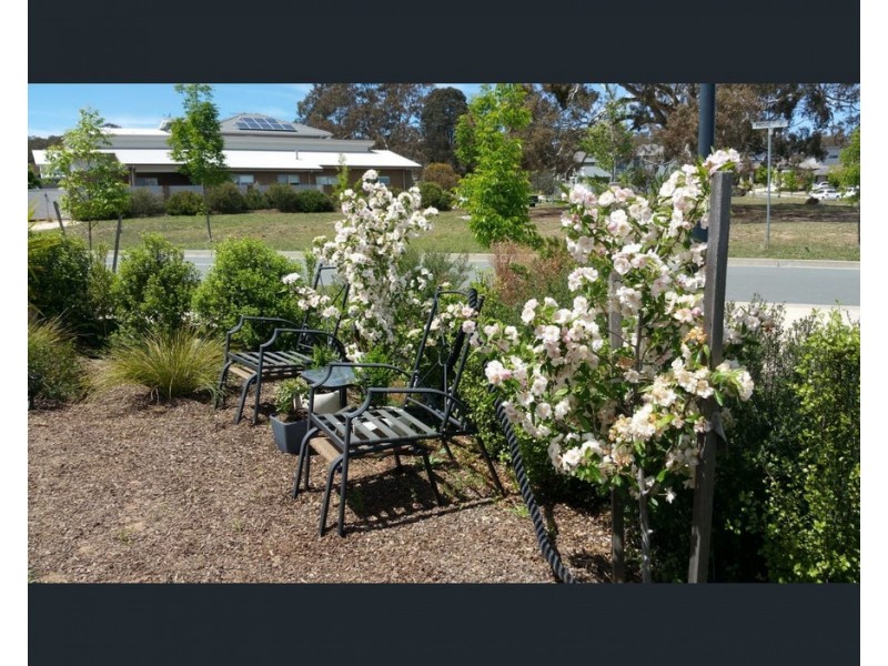 5 Proud Street, Forde ACT 2914