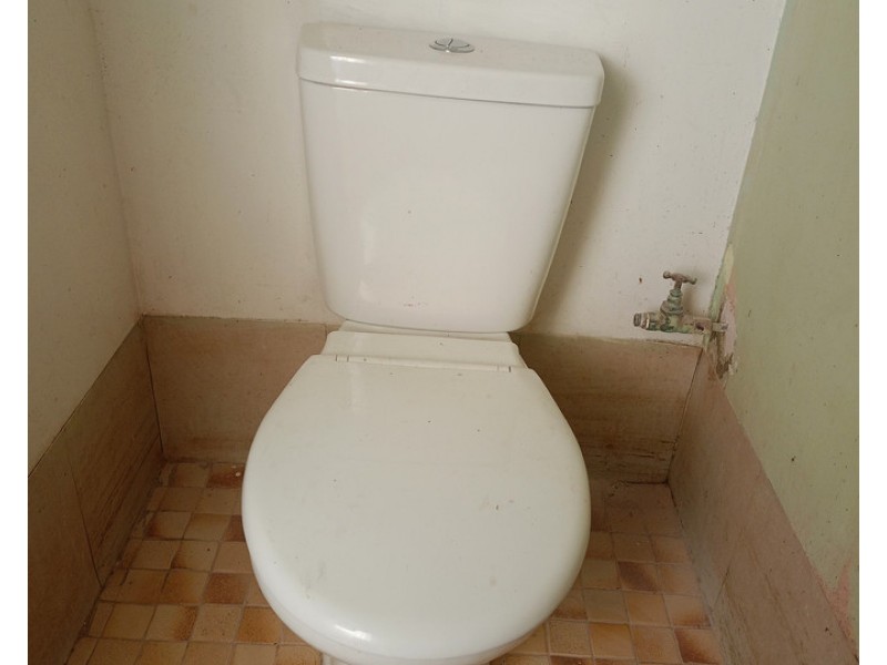 1 Clive Street, Minnipa SA 5654