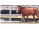 94 Niddoes Gap Road, Kuttabul QLD 4741