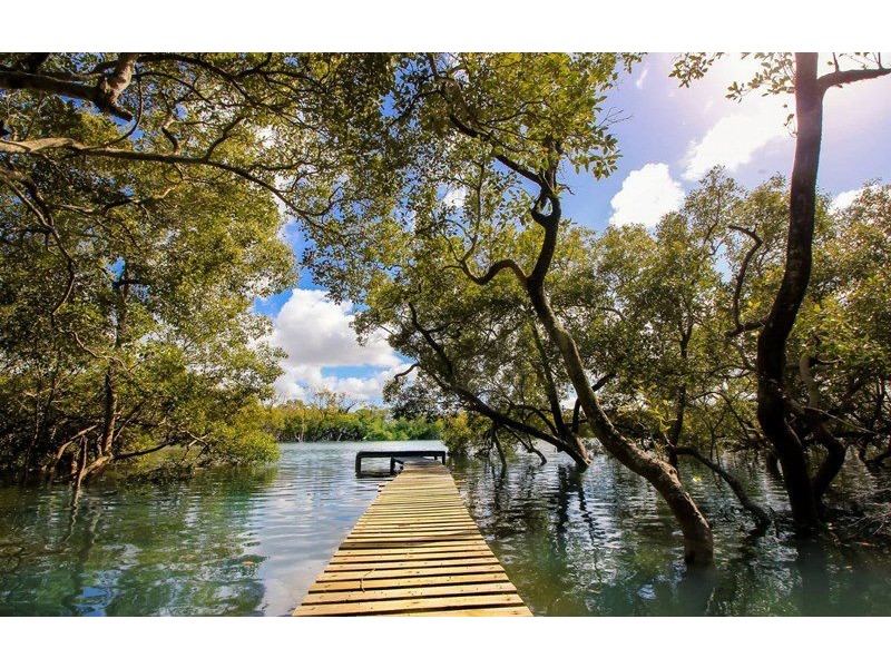 47 Ningi Esplanade, Ningi QLD 4511