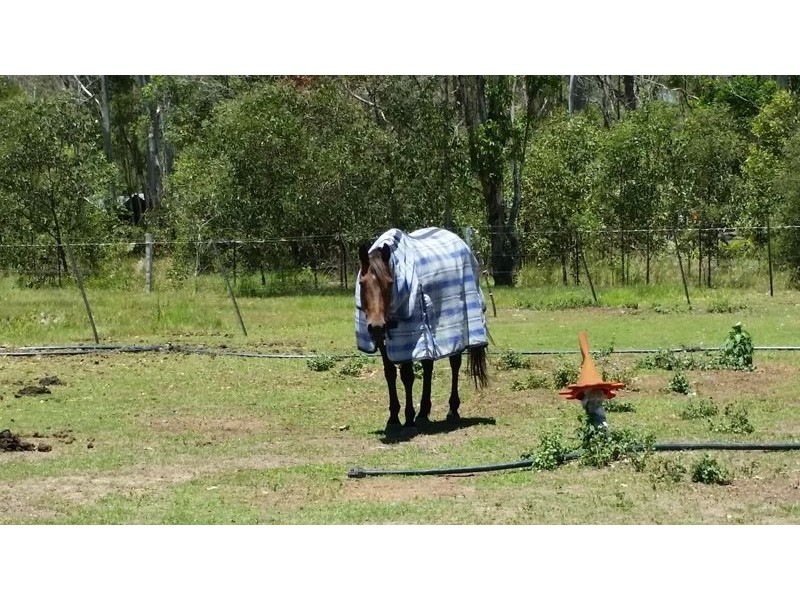 208 Old Bay Road, Deception Bay QLD 4508