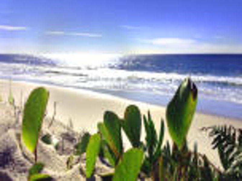 645 Caraway Crescent, Banksia Beach QLD 4507