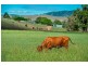 110 Atthow Street, Kilcoy QLD 4515