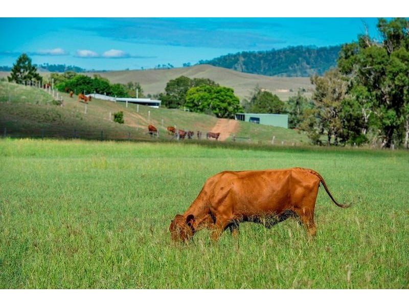 110 Atthow Street, Kilcoy QLD 4515