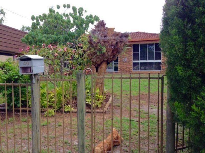 40 Spowers Street, Bongaree QLD 4507