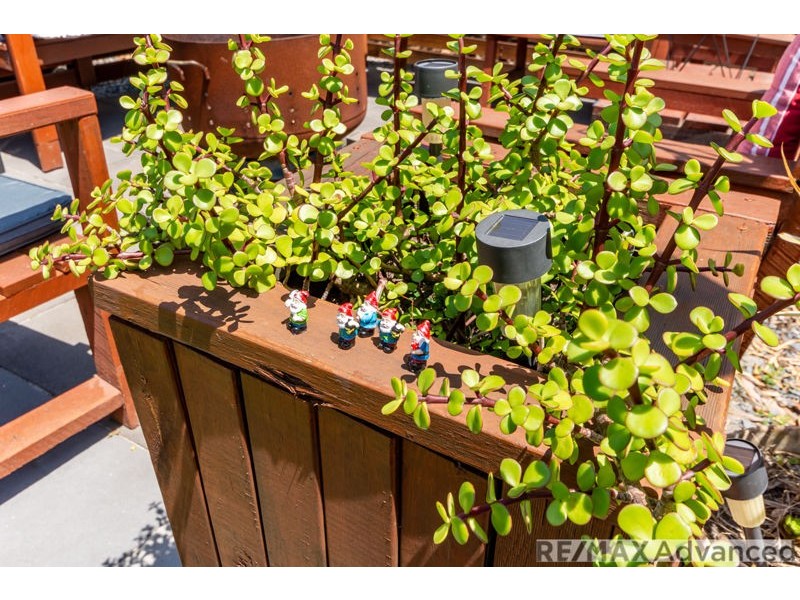 115 Avon Ave, Banksia Beach QLD 4507