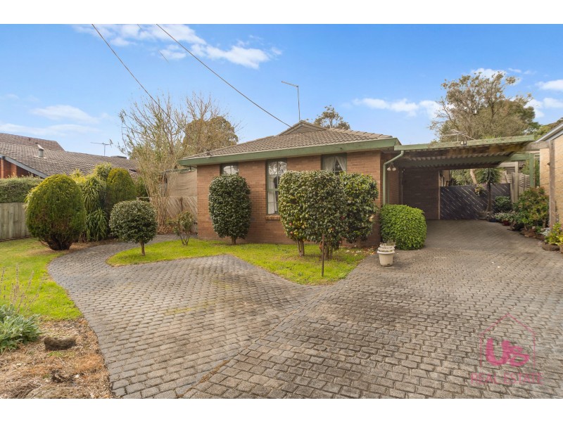 20 Larch Street, Langwarrin VIC 3910