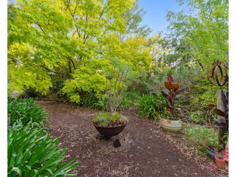 5 Sweet Wattle Drive, Cranbourne South VIC 3977