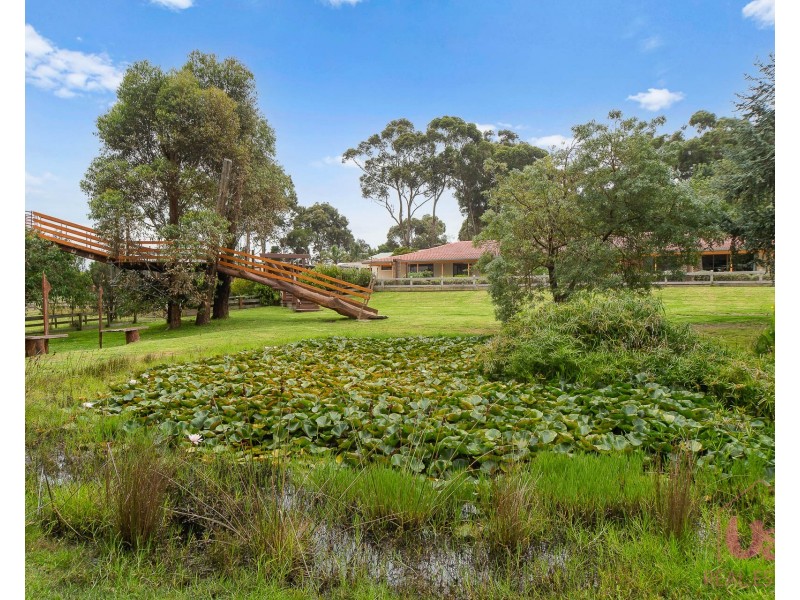 135 Barretts Road, Langwarrin South VIC 3911