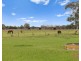 255 McDonalds Drain Road, Koo Wee Rup VIC 3981
